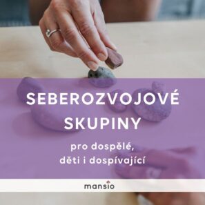 Seberozvojové skupiny