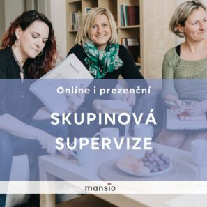 skupinova-supervize